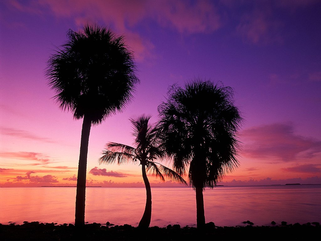 Florida Bay Sunrise, Everglades National Park, Florida